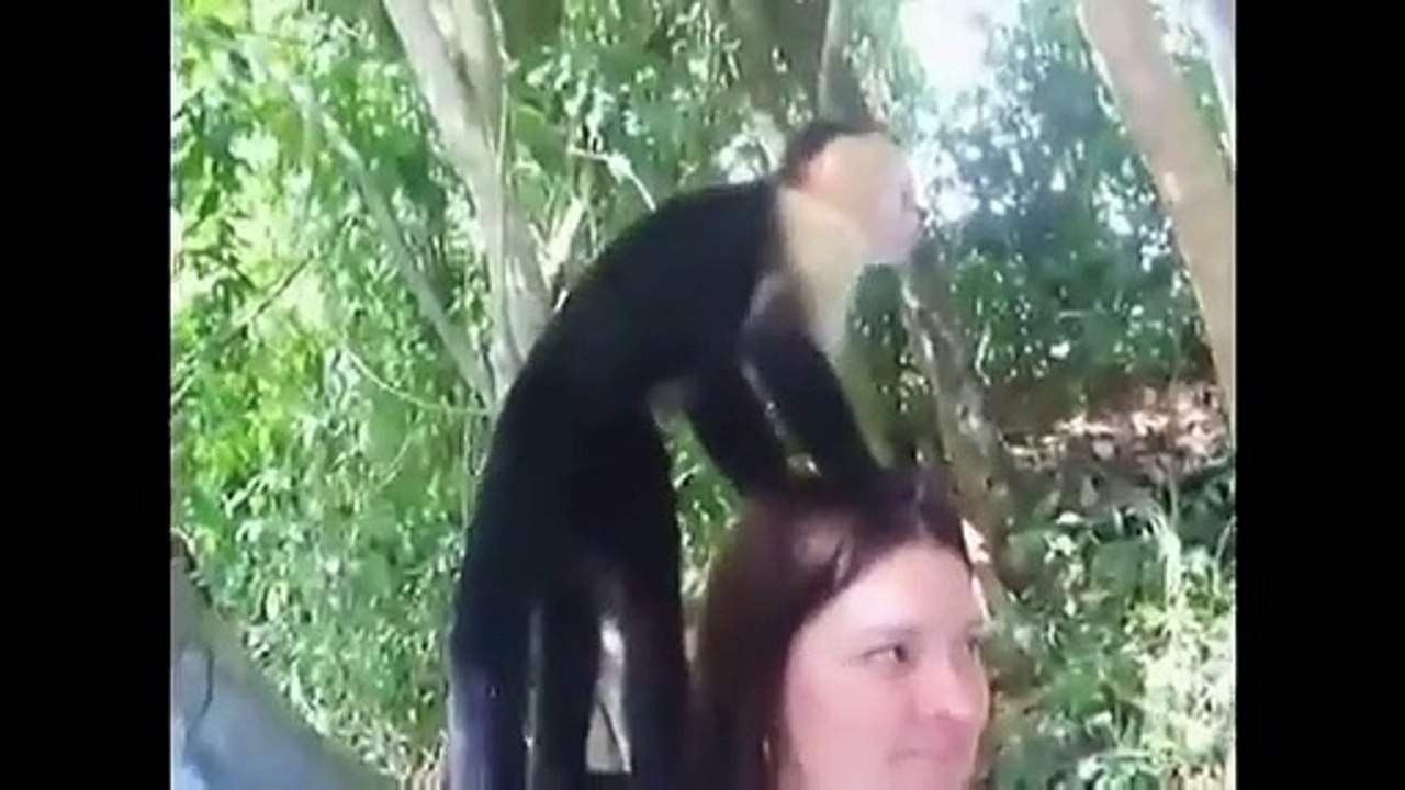 Funny Animal Fail Compilation !!!