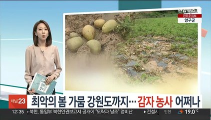 최악의 봄 가뭄 강원도까지…감자 농사 어쩌나