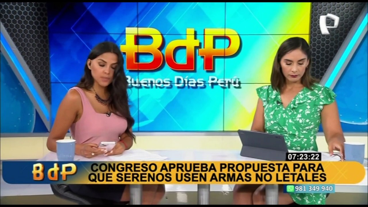 Renzo Reggiardo: "Estamos en contra de que los serenos usen armas no letales"