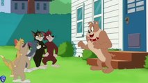 Tom & Jerry _ Best of Spike and Tyke _ Cartoon Compilation _ @VBkids