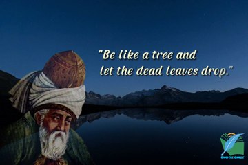 Three Inspirational Quotes by Maulana Rumi