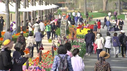 [날씨] 주말 초여름 날씨...10년 만의 정원 박람회 / YTN