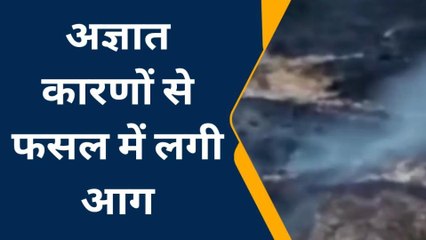 फ़तेहपुर: गेहूं की खड़ी फसल में लगी भीषण आग, किसानों का हुआ भारी नुकसान