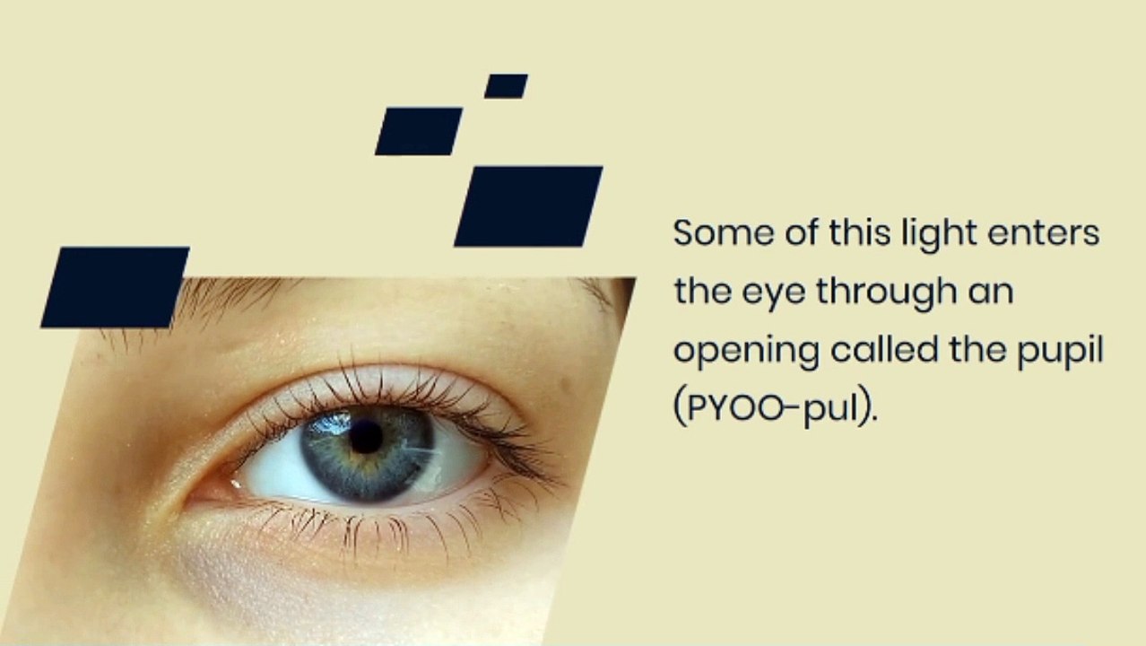 Human eye work ! Human eye parts ! Parts of human eye