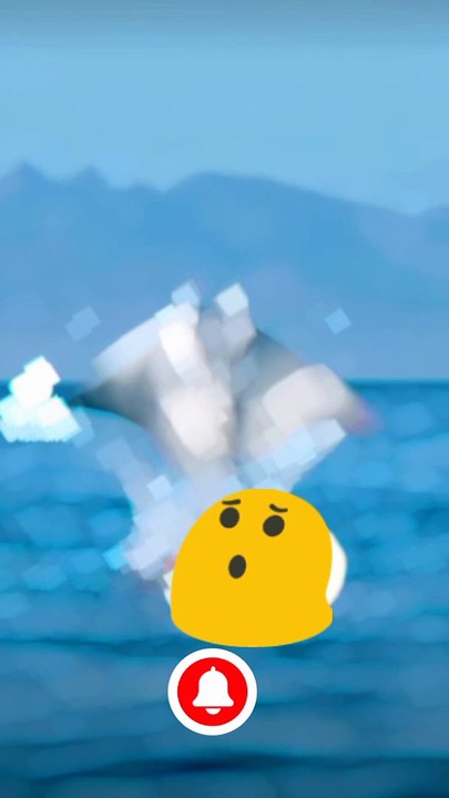 Fish short viral#new fish video viral#short short viral#dailymotion short video viral