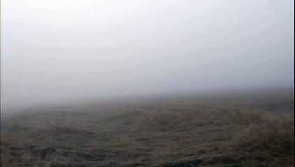 इलाके में सुबह छाई रही भारी धुंध, वाहनों की जली लाइटें