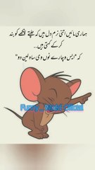 Funny vedio about moms