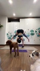 YOGA  HANDSTAND POSE - LidiYoga