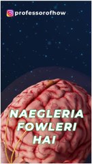 ��HORRIBLE! This is how Brain-Eating-Amoeba Kills_ - By Kishor Singh #shorts