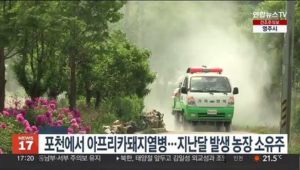 포천에서 아프리카돼지열병…지난달 발생 농장 소유주