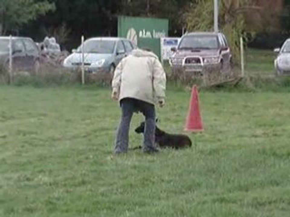MOV06834