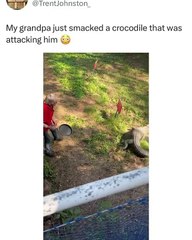 A crocodile attacks an old man and the latter kicks him out with cooking pans