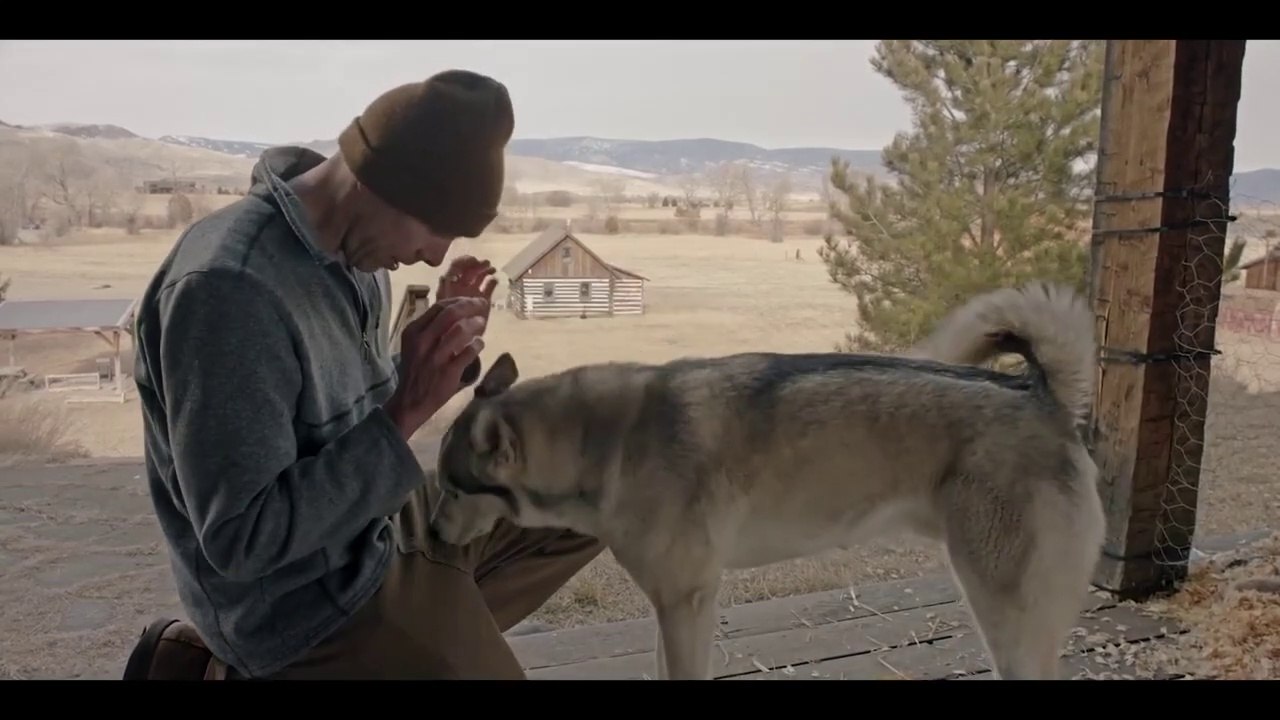THE YEAR OF THE DOG Trailer (2023) Drama, Rob Grabow