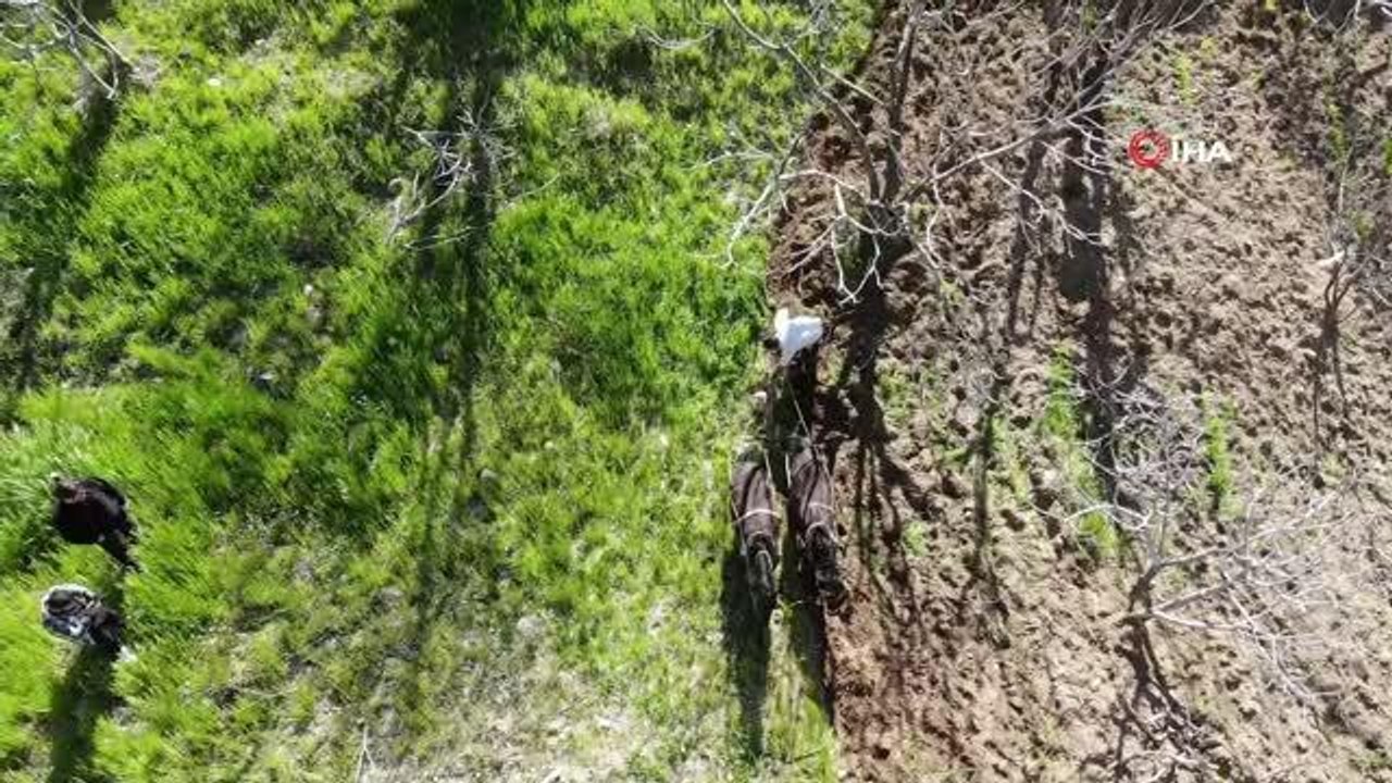 Aydın'da kuraklık sebebiyle çiftçilerin zamana karşı yarışı başladı