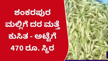 ಉಡುಪಿ: ಶಂಕರಪುರ ಮಲ್ಲಿಗೆ ದರದಲ್ಲಿ ಮತ್ತೆ‌ ಕುಸಿತ ; ಹೀಗಿದೆ ಧಾರಣೆ