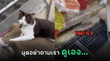 นุดถามทำไมน้องเหมียวนั่งเฉย เห็นหนูแล้วนิ่งไม่สนใจ พอส่องดูรู้เลย OMG