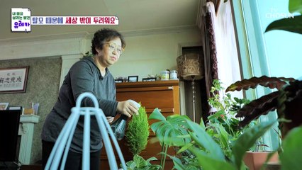 갱년기 여성이 겪는 증상 중 하나인 탈모 TV CHOSUN 230402 방송