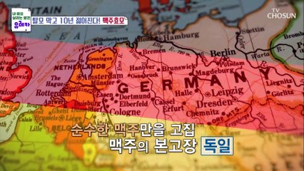【 맥주효모 】 건강하고 윤기나는 모발을 위한 특급 비책❤ TV CHOSUN 230402 방송