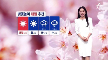 [날씨]새하얀 벚꽃 물결…휴일 초여름 날씨
