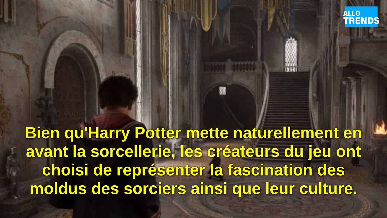 Hogwarts Legacy s'apprête à ajouter un sport réclamé par les fans !