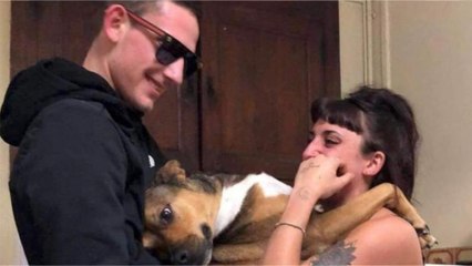 GALA VIDÉO – Mort de Leslie et Kévin : Onyx, le chien de la jeune femme a-t-il été retrouvé ?