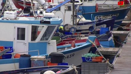 Quiberon   | operation ports morts   | TV Quiberon 24/7