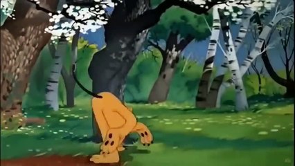 donald duck chip and dale cartoon - Mickey Mouse, Pluto | RRJH ANIME