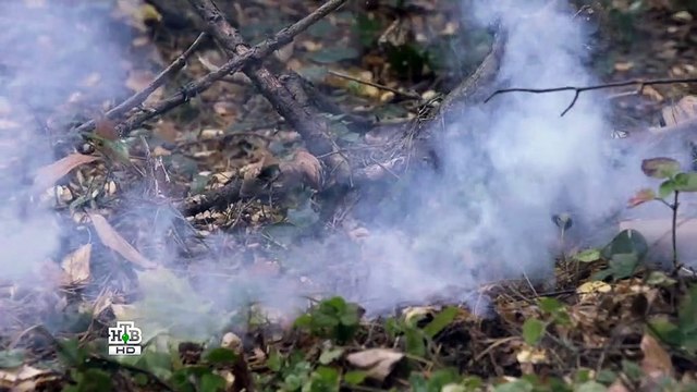 Игра. Реванш (2014) 2 сезон 12 серия