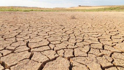Uzman isim uyardı: Bu yıl çok ciddi su sıkıntısı çekeceğiz