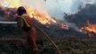 شاهد: الحرائق تدمر الغابات في إسبانيا وترغم السكان على مغادرة منازلهم