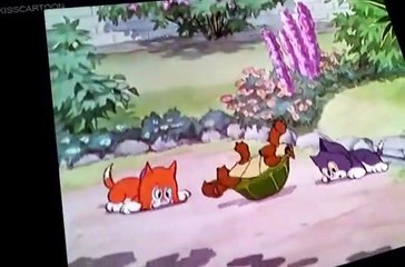 Silly Symphony E065 - More Kittens