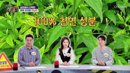 항암에도 탁월해서 암 환자들 사이에 입소문 난 ▷●●●◁ TV CHOSUN 230401 방송