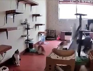 There's always that one guy...