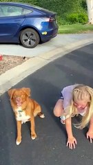 Girl and Dog Do Tricks Together