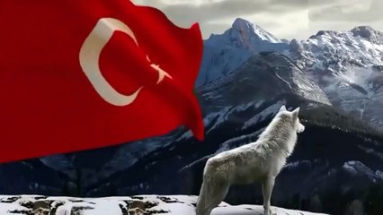 İşte Biz Burdayız