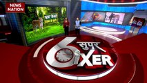 Jungle Sixer : देखिए जंगल से जुड़ी सभी खबरें Jungle Sixer में