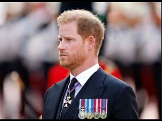 Le roi Charles "ne peut pas tout laisser tomber" pour rencontrer Harry