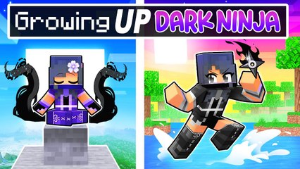 My Journey Growing Up as a Dark Ninja in Minecraft 🥷