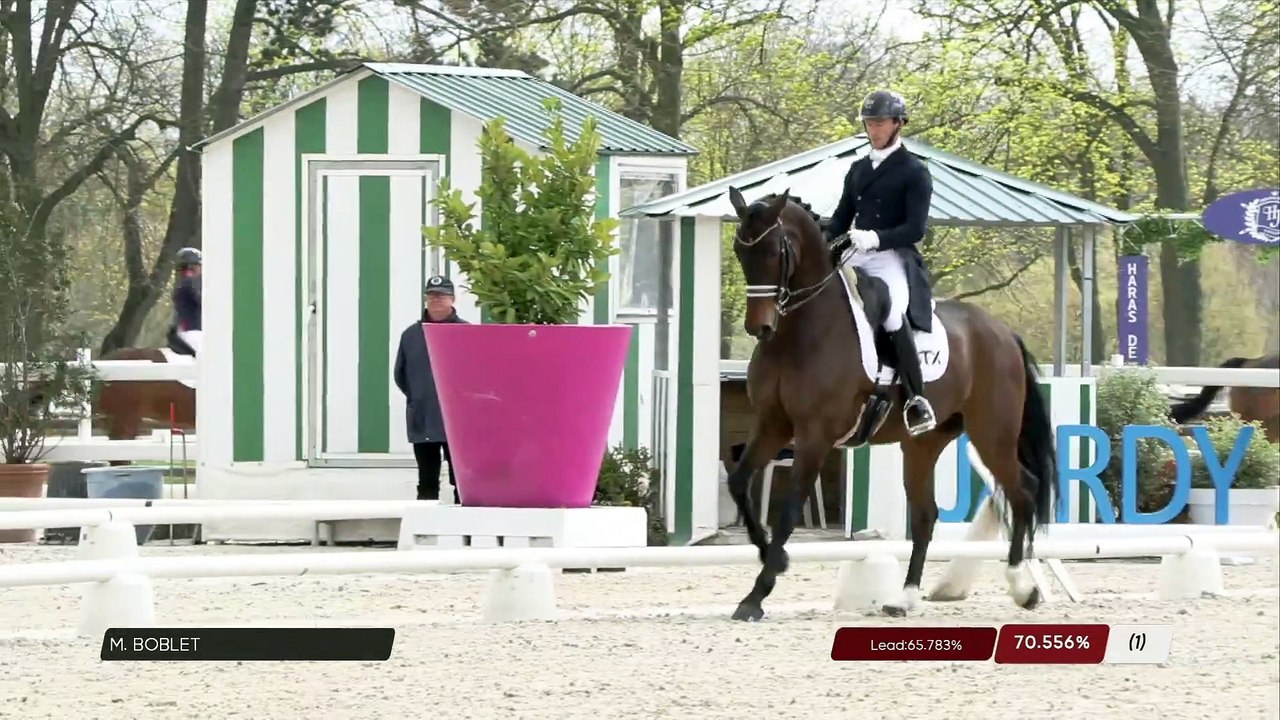 Grand National FFE - AC Print - Dressage | Hara...