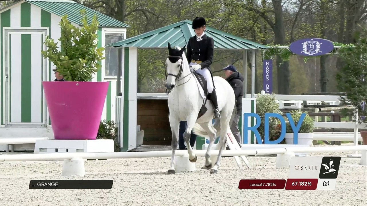 Grand National FFE - AC Print - Dressage | Hara...