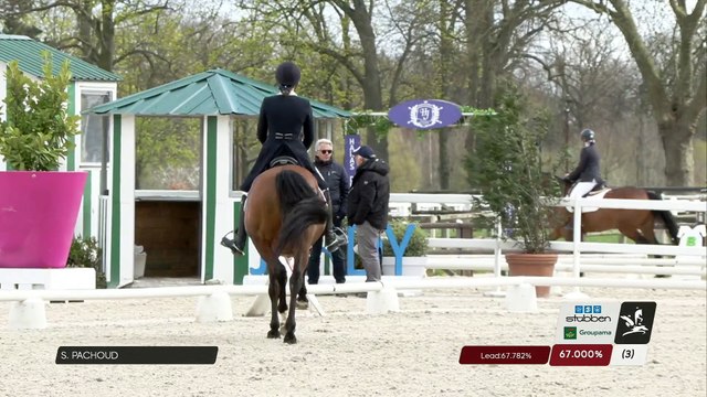 Grand National FFE - AC Print - Dressage | Haras de Jardy (FRA) | Severine PACHOUD | DESPERADO