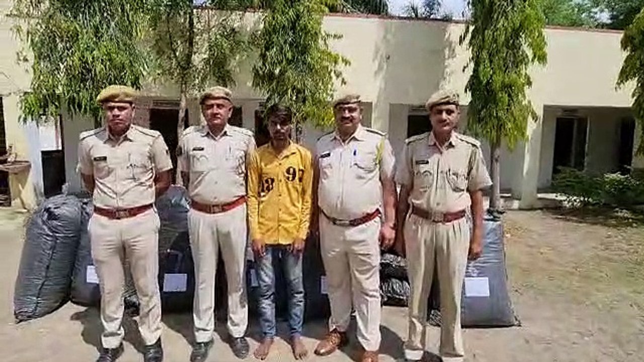 पिकअप में तस्करी, पौने नौ क्विंटल डोडा चूरा जब्...