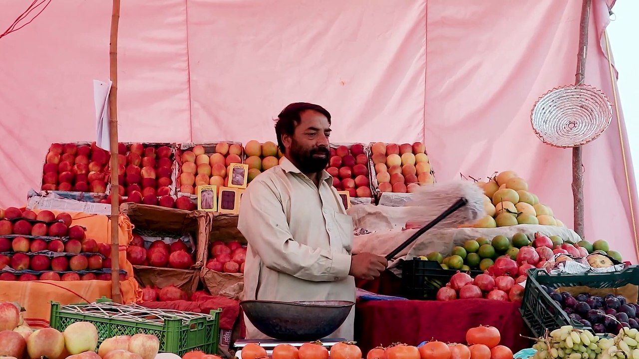 lv_0_20230331090922
