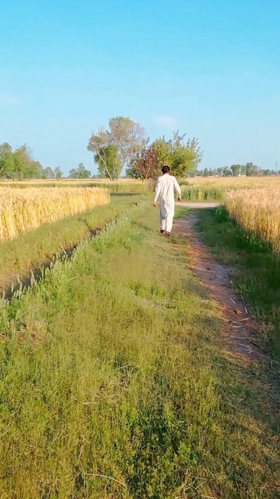 VID_20230401182149
