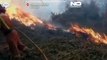 شاهد: الحرائق تقضي على مساحات واسعة من الغابات في إسبانيا
