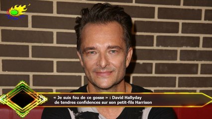 « Je suis fou de ce gosse » : David Hallyday  de tendres confidences sur son petit-fils Harrison