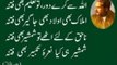 Dailymotion Urdu poetry Urdu shayari Allama Iqbal viral poetry