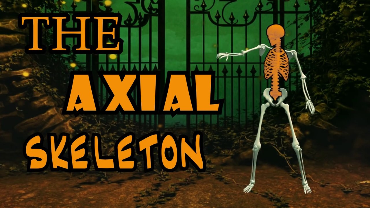 SKELETON BONES SONG - LEARN IN 3 MINUTES!!!