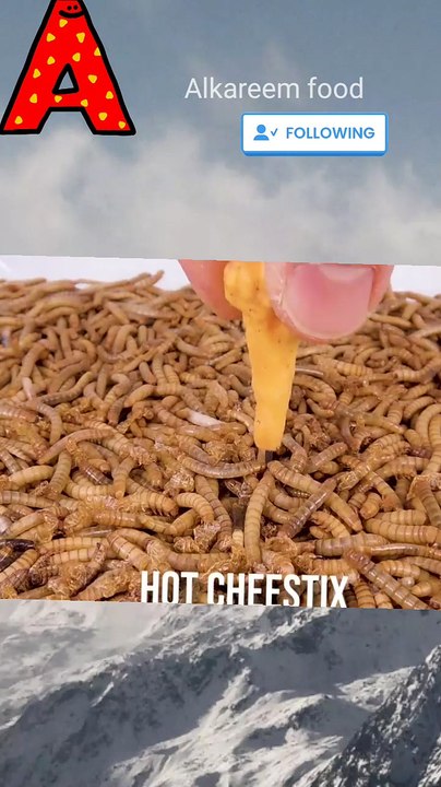Worm and there food
