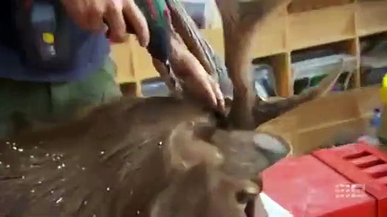 The Block - Se9 - Ep11 HD Watch